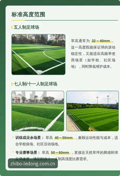 掌握草地赛事观看门道的实用技巧